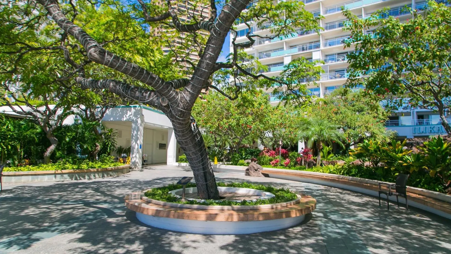Apartament Ilikai Tower 1230 Honolulu Stany Zjednoczone Ameryki